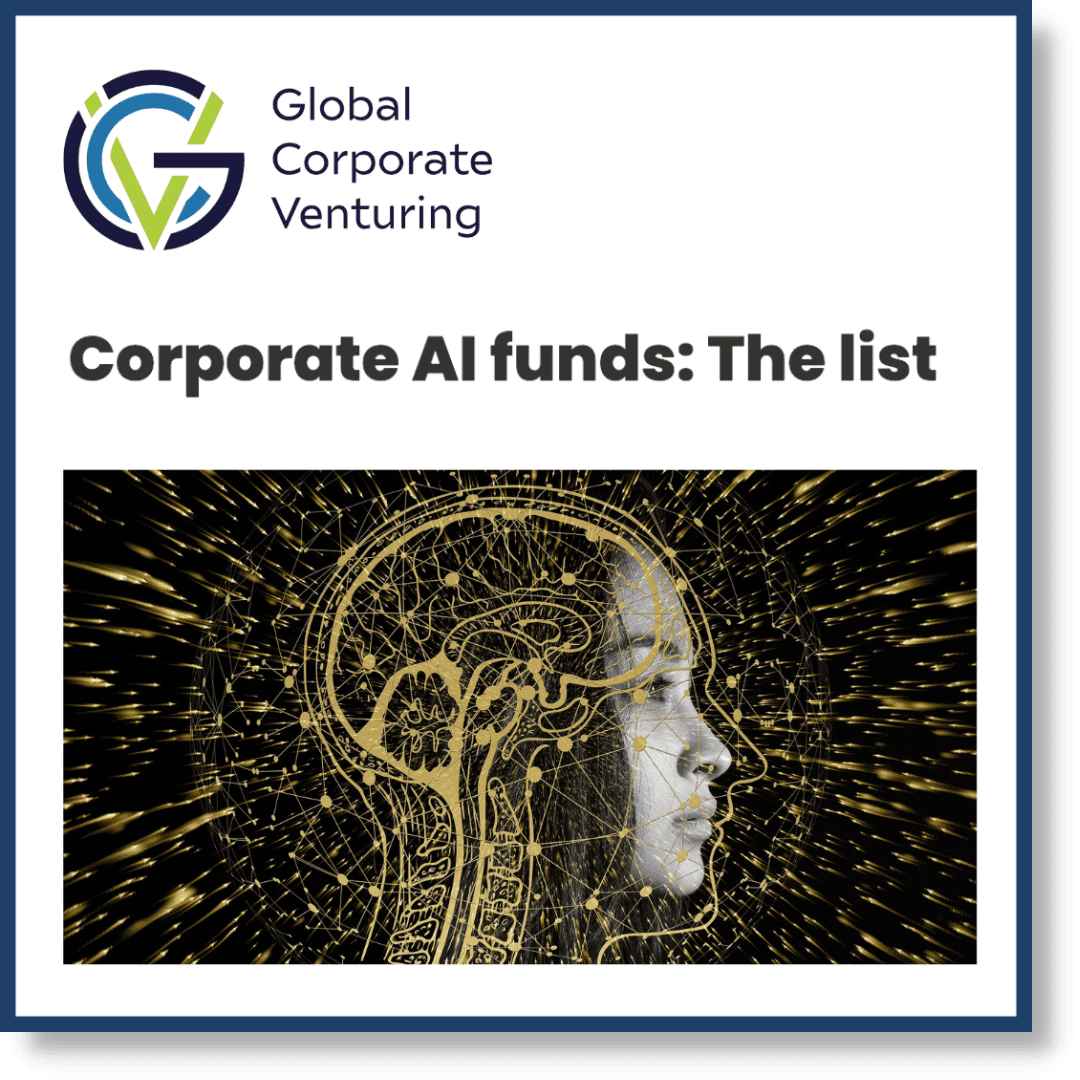 Corporate AI funds The list