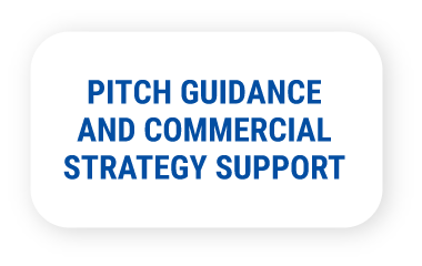 Pitch Guidance